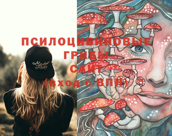 МДПВ Алексеевка