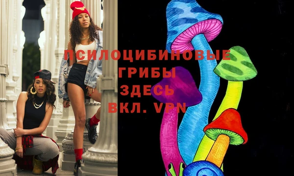 тгк Саяногорск